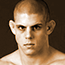 Joe Lauzon