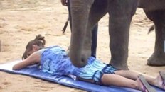 Elephant Massage in Koh Samui, Thailand