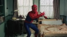 Japanese Spider-Man