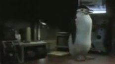 Ping Pong Penguin